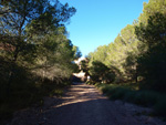 Grupo Mineralógico de Alicante. Paraje Barranco de Ojos. Aspe.  Alicante