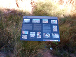 Grupo Mineralógico de Alicante.  Paraje Barranco de Ojos. Aspe.  Alicante 