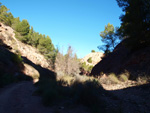 Grupo Mineralógico de Alicante.  Paraje Barranco de Ojos. Aspe.  Alicante 