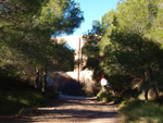 Grupo Mineralógico de Alicante. Paraje Barranco de Ojos. Aspe.  Alicante