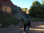 Grupo Mineralógico de Alicante. Paraje Barranco de Ojos. Aspe.  Alicante