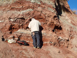 Grupo Mineralógico de Alicante. Paraje Barranco de Ojos. Aspe.  Alicante