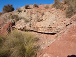 Grupo Mineralógico de Alicante. Paraje Barranco de Ojos. Aspe.  Alicante