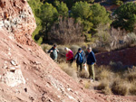 Grupo Mineralógico de Alicante. Paraje Barranco de Ojos. Aspe.  Alicante