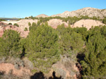 Grupo Mineralógico de Alicante. Paraje Barranco de Ojos. Aspe.  Alicante