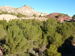 Grupo Mineralógico de Alicante. Paraje Barranco de Ojos. Aspe.  Alicante