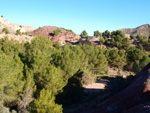 Grupo Mineralógico de Alicante. Paraje Barranco de Ojos. Aspe.  Alicante