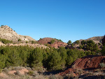 Grupo Mineralógico de Alicante. Paraje Barranco de Ojos. Aspe.  Alicante