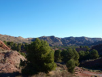 Grupo Mineralógico de Alicante. Paraje Barranco de Ojos. Aspe.  Alicante