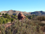 Grupo Mineralógico de Alicante. Paraje Barranco de Ojos. Aspe.  Alicante