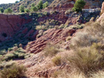 Grupo Mineralógico de Alicante. Paraje Barranco de Ojos. Aspe.  Alicante