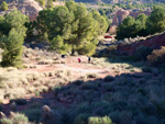 Grupo Mineralógico de Alicante. Paraje Barranco de Ojos. Aspe.  Alicante