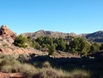 Grupo Mineralógico de Alicante. Paraje Barranco de Ojos. Aspe.  Alicante