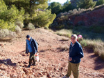 Grupo Mineralógico de Alicante. Paraje Barranco de Ojos. Aspe.  Alicante