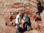 Grupo Mineralógico de Alicante. Paraje Barranco de Ojos. Aspe.  Alicante