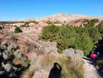 Grupo Mineralógico de Alicante. Paraje Barranco de Ojos. Aspe.  Alicante