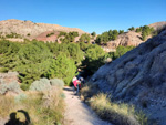 Grupo Mineralógico de Alicante. Paraje Barranco de Ojos. Aspe.  Alicante