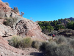 Grupo Mineralógico de Alicante. Paraje Barranco de Ojos. Aspe.  Alicante