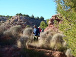 Grupo Mineralógico de Alicante. Paraje Barranco de Ojos. Aspe.  Alicante