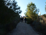 Grupo Mineralógico de Alicante. Paraje Barranco de Ojos. Aspe.  Alicante