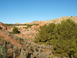 Grupo Mineralógico de Alicante. Paraje Barranco de Ojos. Aspe.  Alicante