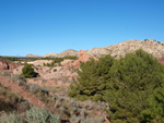 Grupo Mineralógico de Alicante. Paraje Barranco de Ojos. Aspe.  Alicante