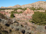 Grupo Mineralógico de Alicante. Paraje Barranco de Ojos. Aspe.  Alicante