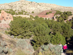 Grupo Mineralógico de Alicante. Paraje Barranco de Ojos. Aspe.  Alicante