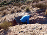 Grupo Mineralógico de Alicante. Afloramiento de Aragonito. Loma Bada. Petrer.  Alicante