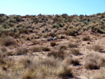 Grupo Mineralógico de Alicante. Afloramiento de Aragonito. Loma Bada. Petrer.  Alicante