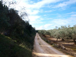 Grupo Mineralógico de Alicante. Gravera del Barraquero, Hoya Redonda, Enguera, Comarca Canal de Navarrés, Valencia 