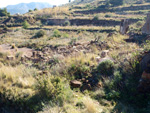 Grupo Mineralógico de Alicante. Minas Marúa Dolores y Catón. Paraje los Pajaritos. La Unión. Murcia  Alicante