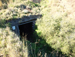 Grupo Mineralógico de Alicante. Minas Marúa Dolores y Catón. Paraje los Pajaritos. La Unión. Murcia  Alicante