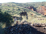 Grupo Mineralógico de Alicante. Minas Marúa Dolores y Catón. Paraje los Pajaritos. La Unión. Murcia  Alicante