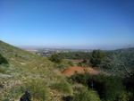 Grupo Mineralógico de Alicante. Aragonito. Minas Marúa Dolores y Catón. Paraje los Pajaritos. La Unión. Murcia  Alicante