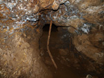 Grupo Mineralógico de Alicante. Paraje Barranco de Ojos. Aspe.  Alicante