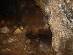 Grupo Mineralógico de Alicante. Paraje Barranco de Ojos. Aspe.  Alicante