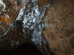 Grupo Mineralógico de Alicante. Paraje Barranco de Ojos. Aspe.  Alicante