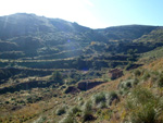 Grupo Mineralógico de Alicante. Paraje Barranco de Ojos. Aspe.  Alicante