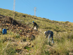 Grupo Mineralógico de Alicante. Paraje Barranco de Ojos. Aspe.  Alicante