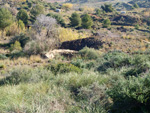 Grupo Mineralógico de Alicante. Paraje Barranco de Ojos. Aspe.  Alicante