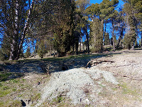 Grupo Mineralógico de Alicante. Afloramiento de Calcedonia. Cerro de los Ángeles. Getafe. Madrid