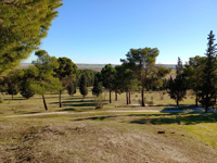 Grupo Mineralógico de Alicante. Afloramiento de Calcedonia. Cerro de los Ángeles. Getafe. Madrid