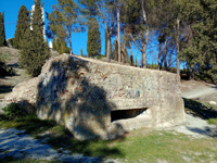 Grupo Mineralógico de Alicante. Afloramiento de Calcedonia. Cerro de los Ángeles. Getafe. Madrid