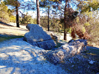 Grupo Mineralógico de Alicante. Afloramiento de Calcedonia. Cerro de los Ángeles. Getafe. Madrid