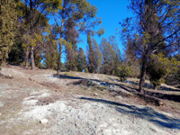 Grupo Mineralógico de Alicante. Afloramiento de Calcedonia. Cerro de los Ángeles. Getafe. Madrid