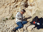 Grupo Mineralógico de Alicante. Cantera de Áridos de Holcin, Busot. Alicante