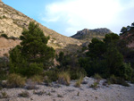 Grupo Mineralógico de Alicante. Cantera de Áridos Barranc de Cabiafic. Aigues de Busot. Alicante