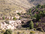 Grupo Mineralógico de Alicante. Cantera de çAridos Holcin. Busot. Alicante