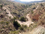 Grupo Mineralógico de Alicante. Cantera de çAridos Holcin. Busot. Alicante